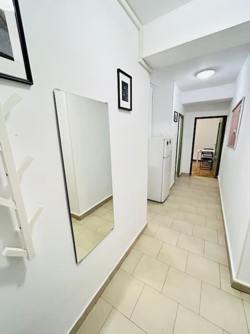 Cosy Apartment #12Lunipebega 티미쇼아라 외부 사진