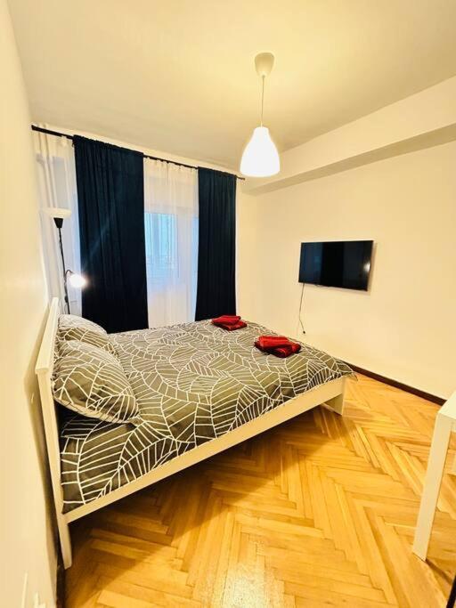 Cosy Apartment #12Lunipebega 티미쇼아라 외부 사진